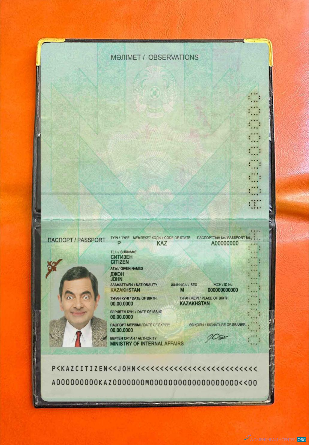 Download Kazakhstan passport (2009 present) photo look Photoshop template